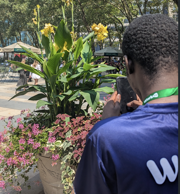 Cyber scenarios presentation